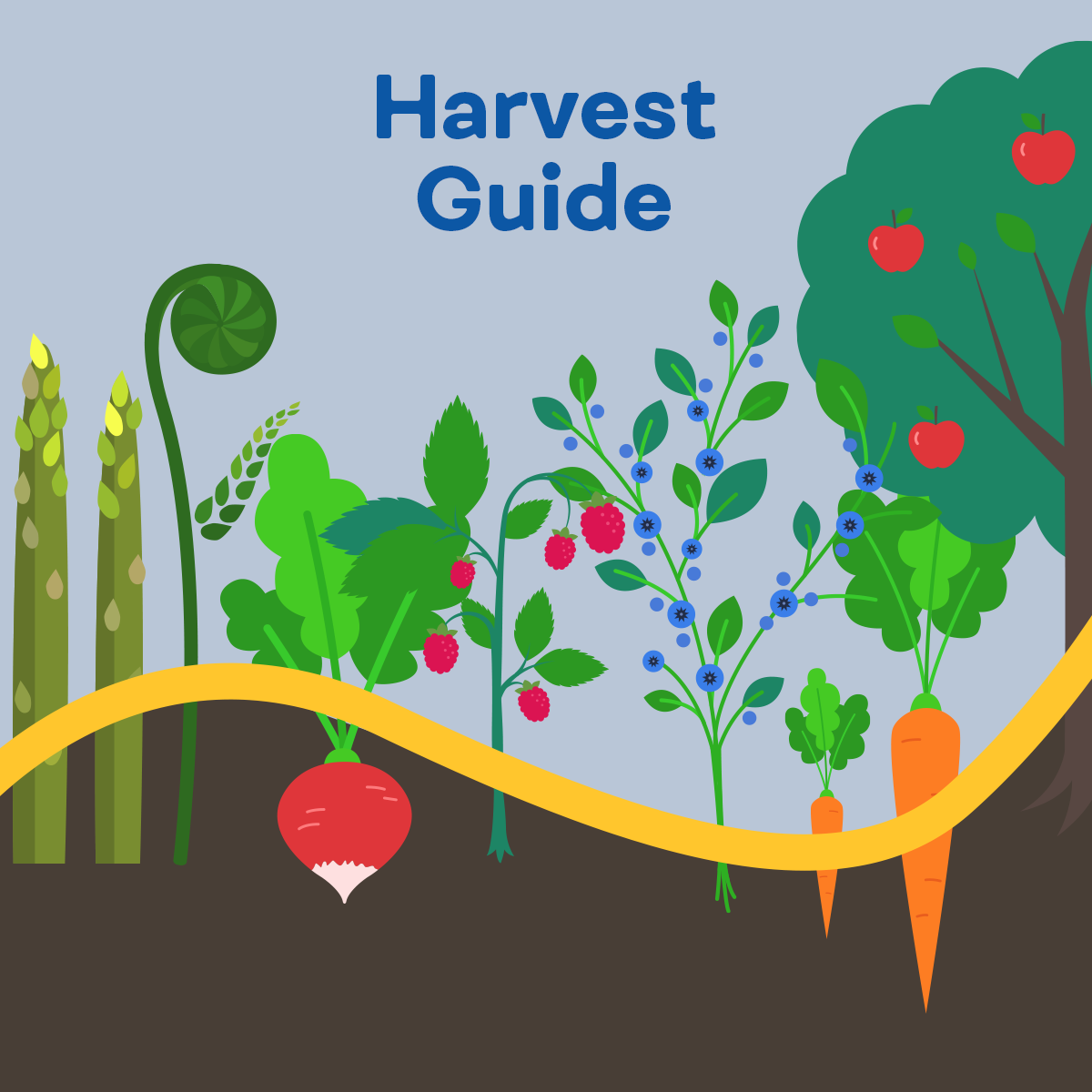 Harvest Guide In Season Fruits and Vegetables Are Yours to Enjoy
